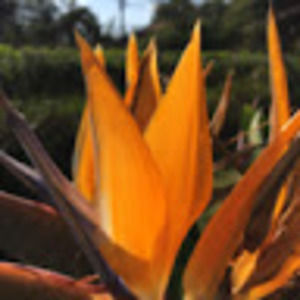 Meet your Posher, Karyn